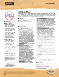 Brain Phase by Systemic Formulas