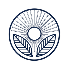 Living Well Today International